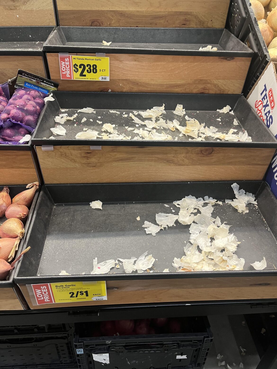 is there a vampire convention in town?