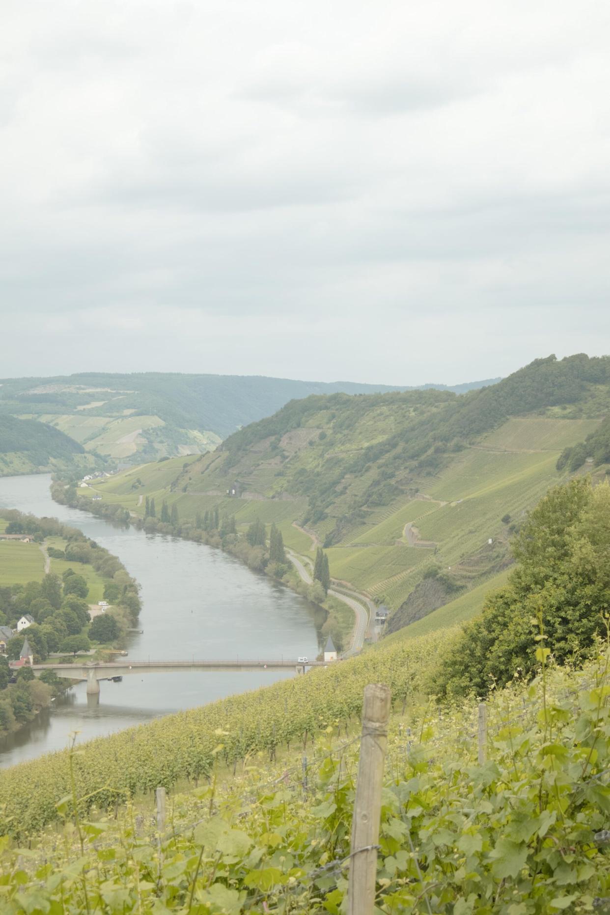 A river winds through a green valley with vineyards on rolling hillsides, a small bridge crossing the water, and scattered houses among the landscape under a cloudy sky.