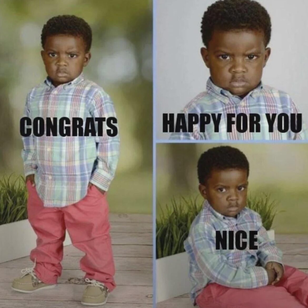 Seeing everyone get their humble pie