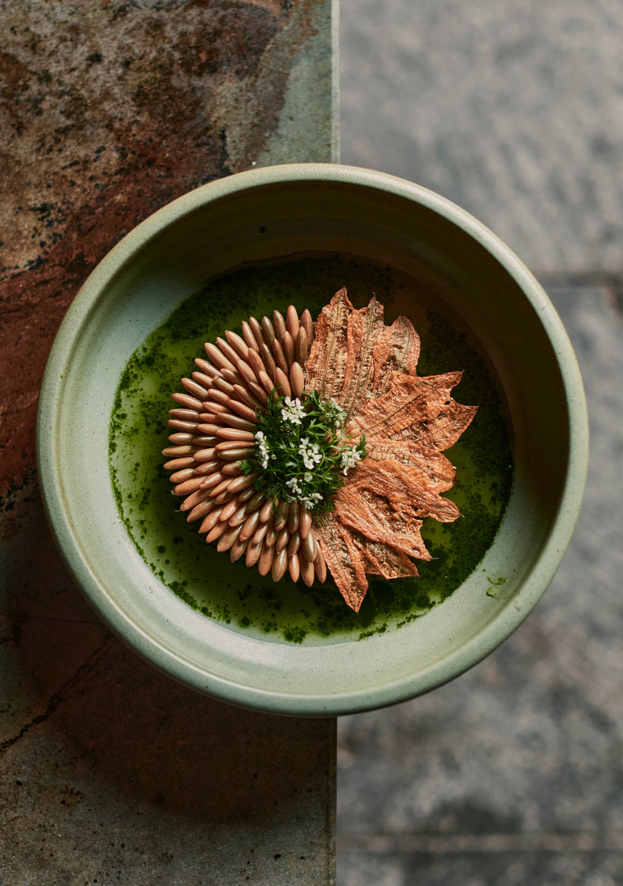 Dzikilpak from Arca. © Pepe Molina