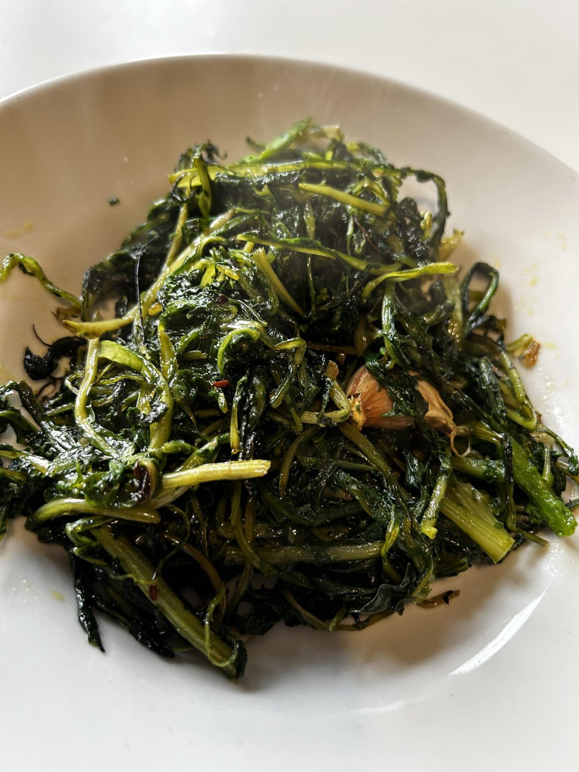 Cicoria selvatica ripassata!