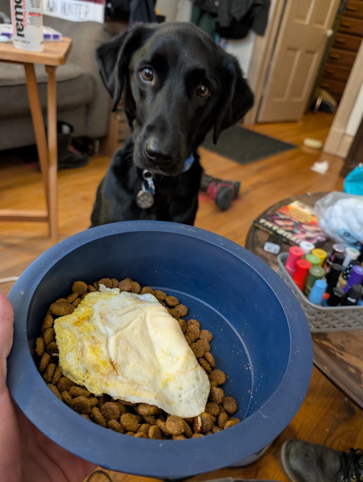 Korra wanted an egg on it