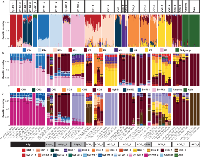 Fig. 3: ADMIXTURE29 genetic ancestry profiles.