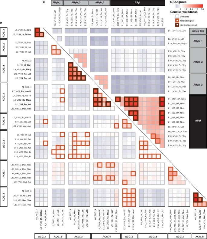 Fig. 5: f3-outgroup statistics63 and genetic relatedness between pairs of ancient samples.