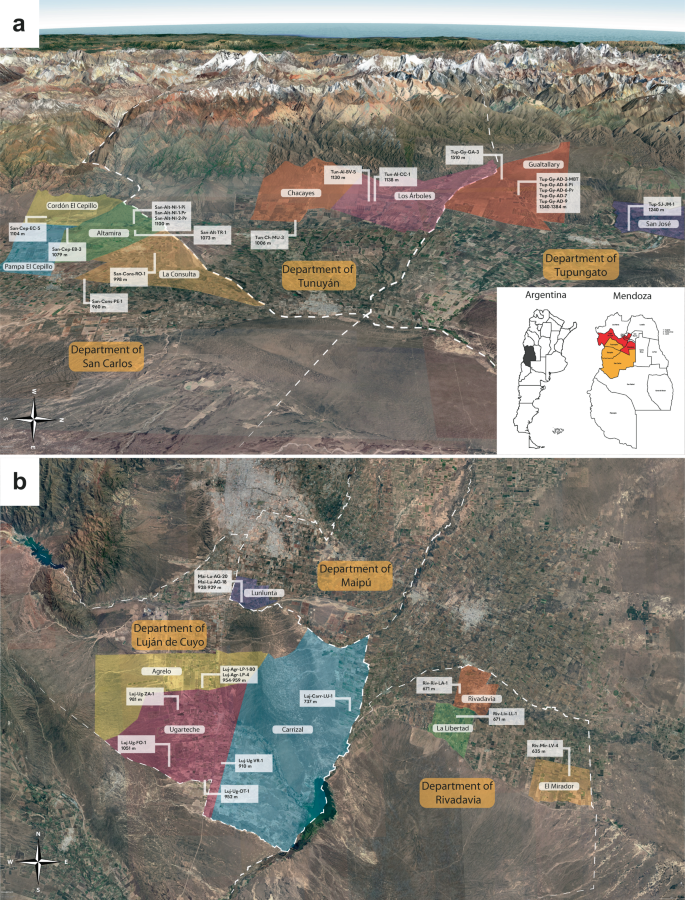 Fig. 1: Satellite image of study parcels in Mendoza, Argentina.