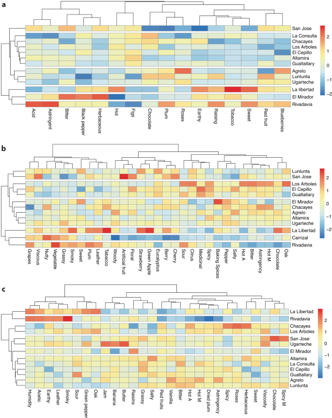 Fig. 5: Heatmaps and hierarchical clustering of GIs (small areas) by sensory descriptors in Malbec wines over different vintages.