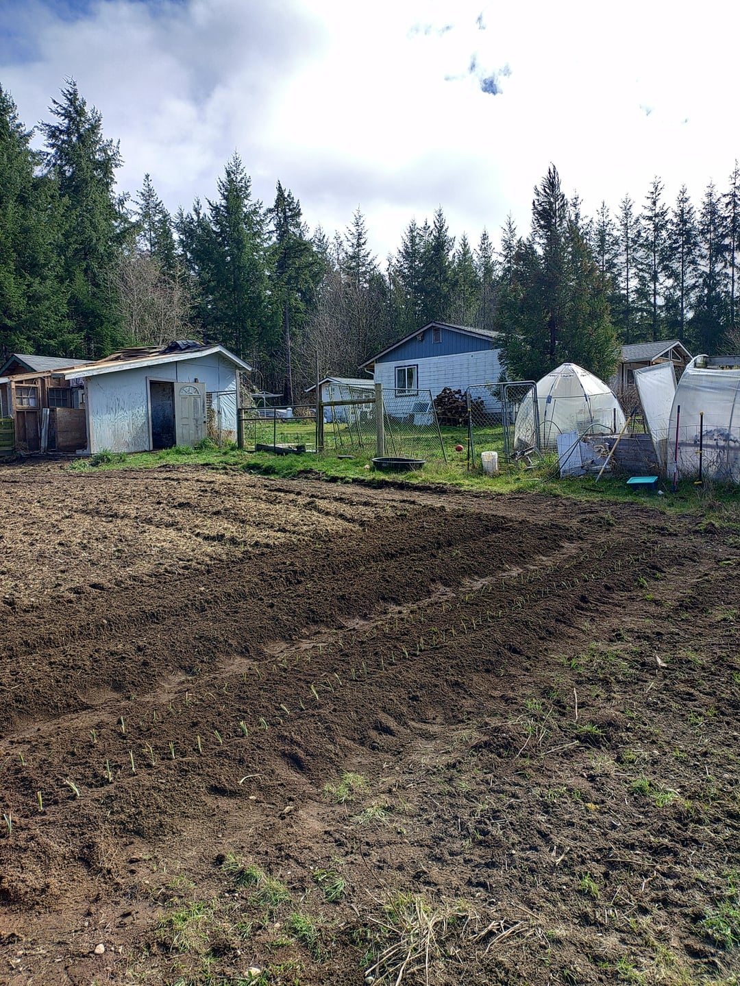 2 rows down 4 to go. - Dining and Cooking