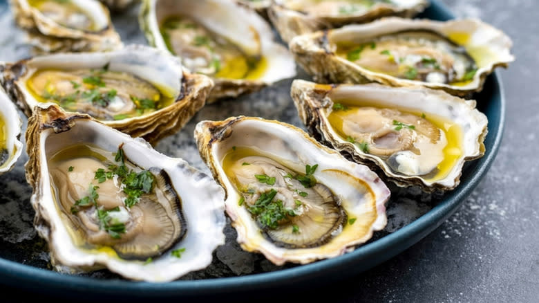 Raw oysters on a dish