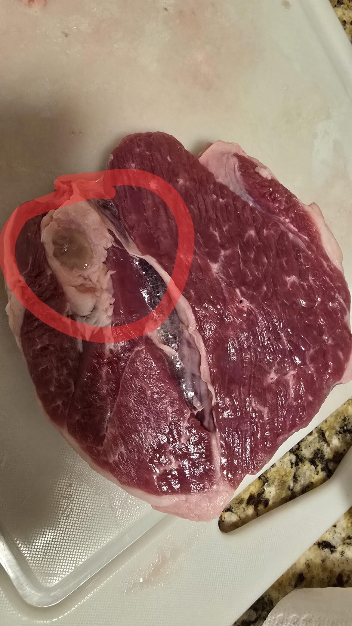 What is this slimy bit in the fat?