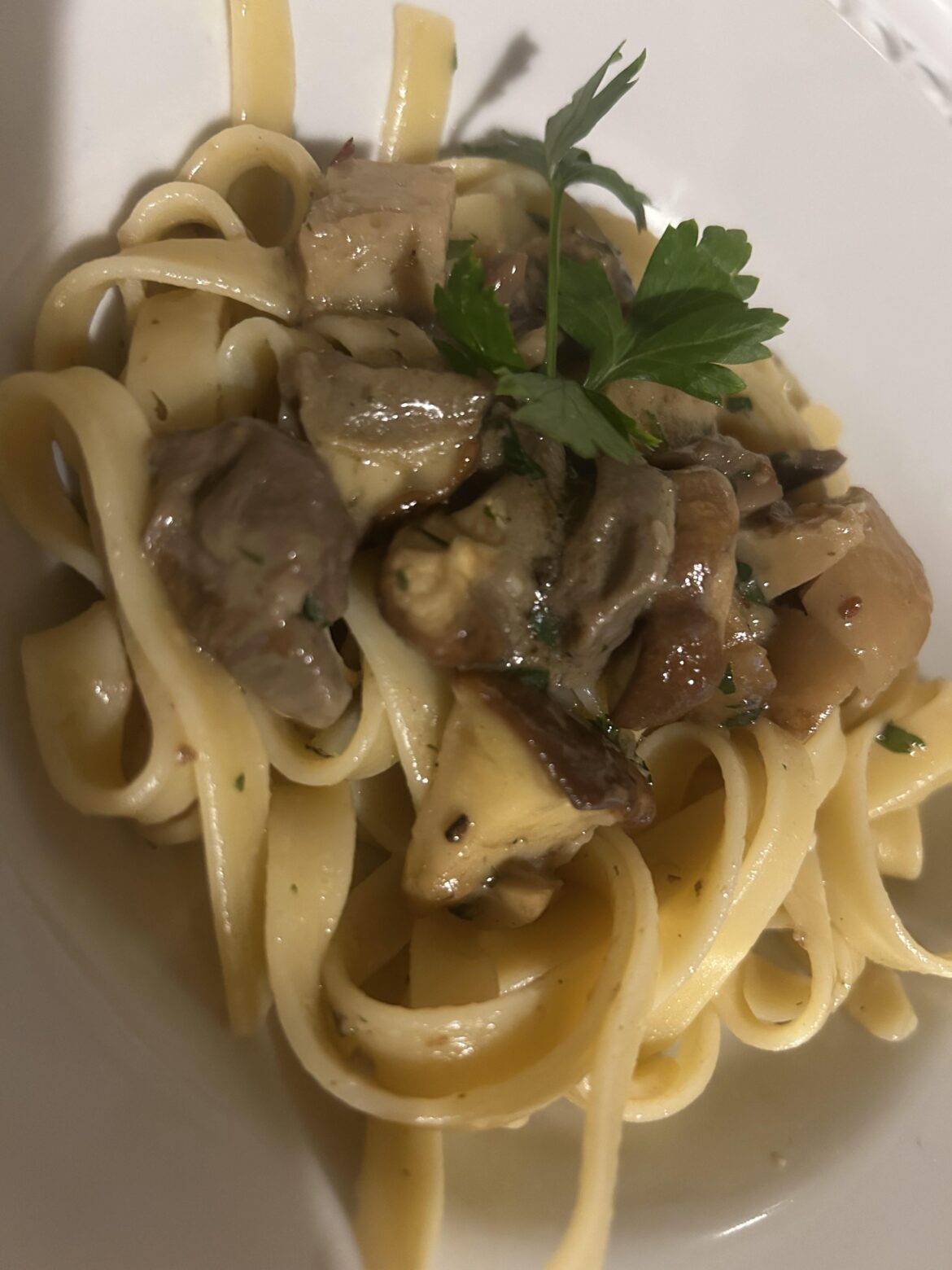 Fettuccine ai funghi porcini!