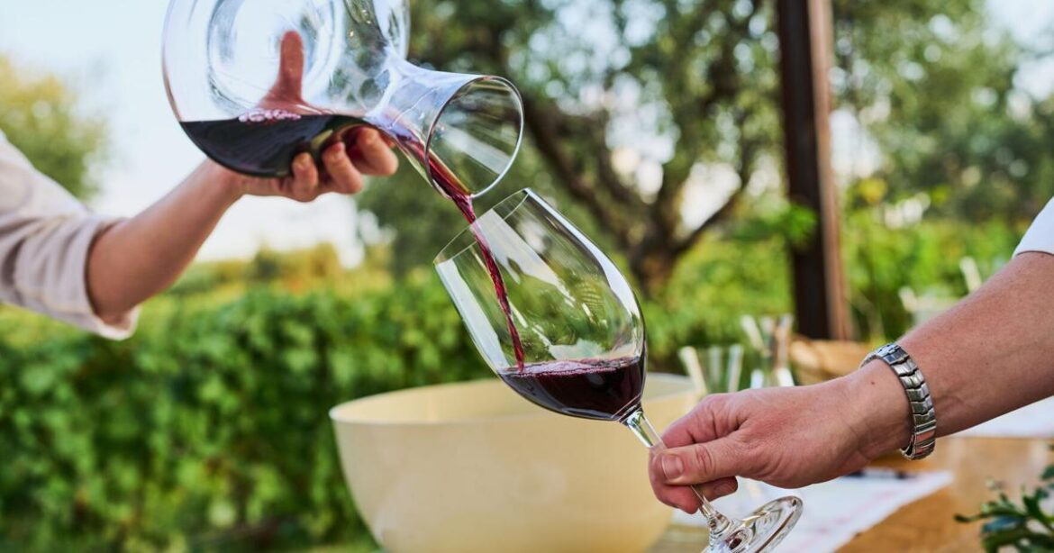 Argentina’s wine industry withers on the vine as consumption hits a record low | National News