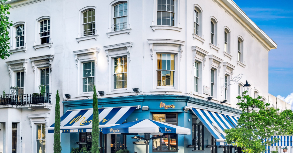 Why every appetizer and entree at this restaurant costs the same | National Why every appetizer and entree at this restaurant costs the same | National