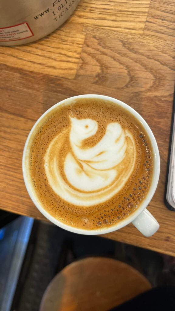 what’s wrong with my swans? 🍶