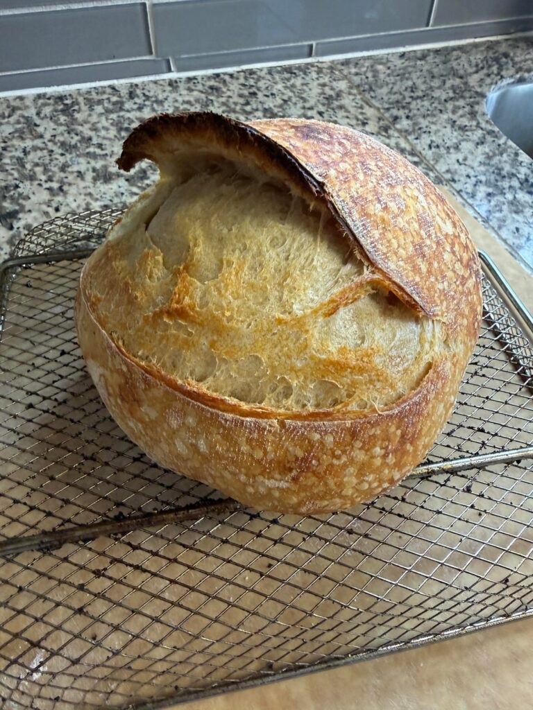 Every loaf is improving