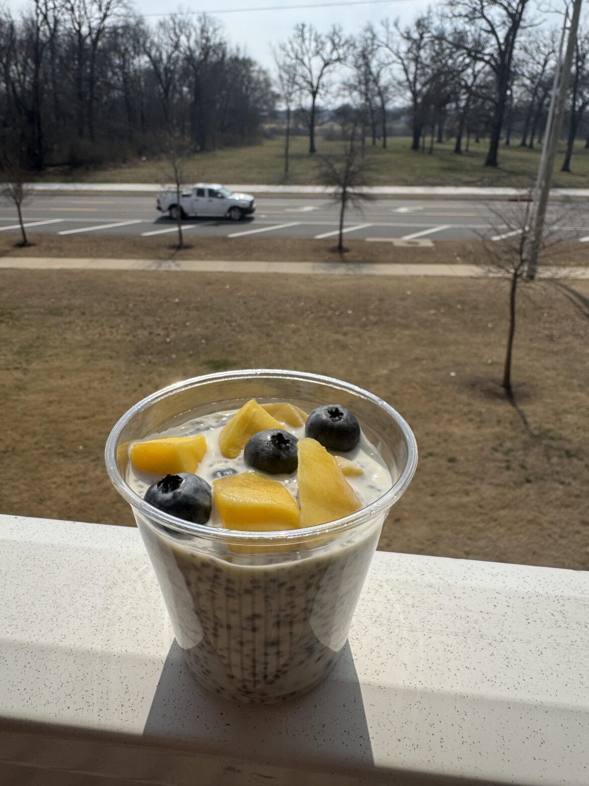 Easiest way to make a fruit pudding