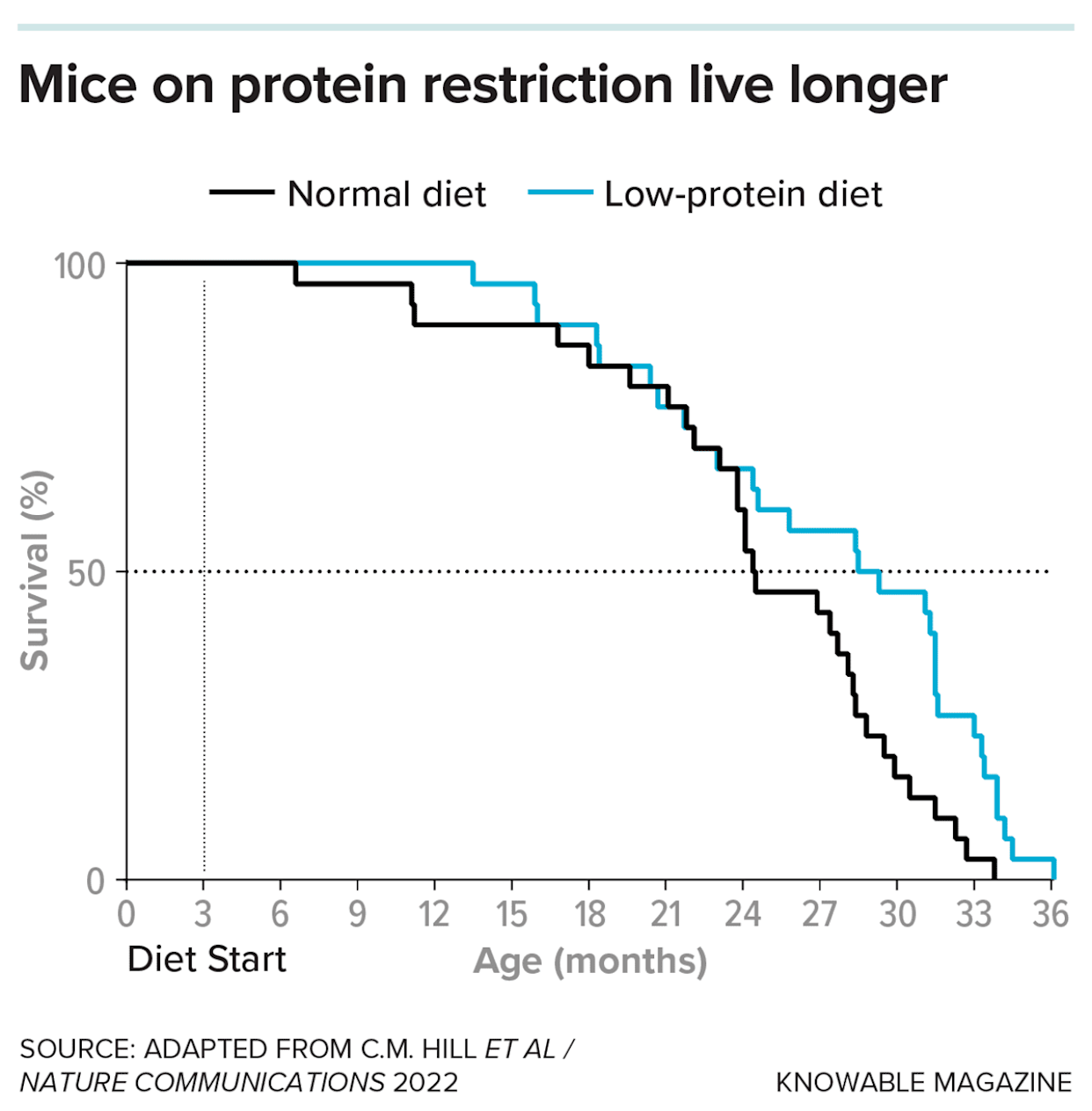 Researchers fed 30 male mice a standard diet with 20 percent protein, and 30 additional mice a diet with only 5 percent protein. Those that got less protein lived longer. - Knowable Magazine