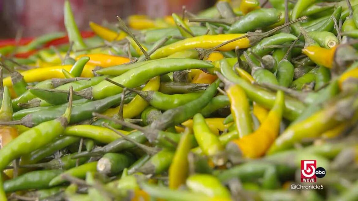 Mediterranean flavors bloom at Siena Farms