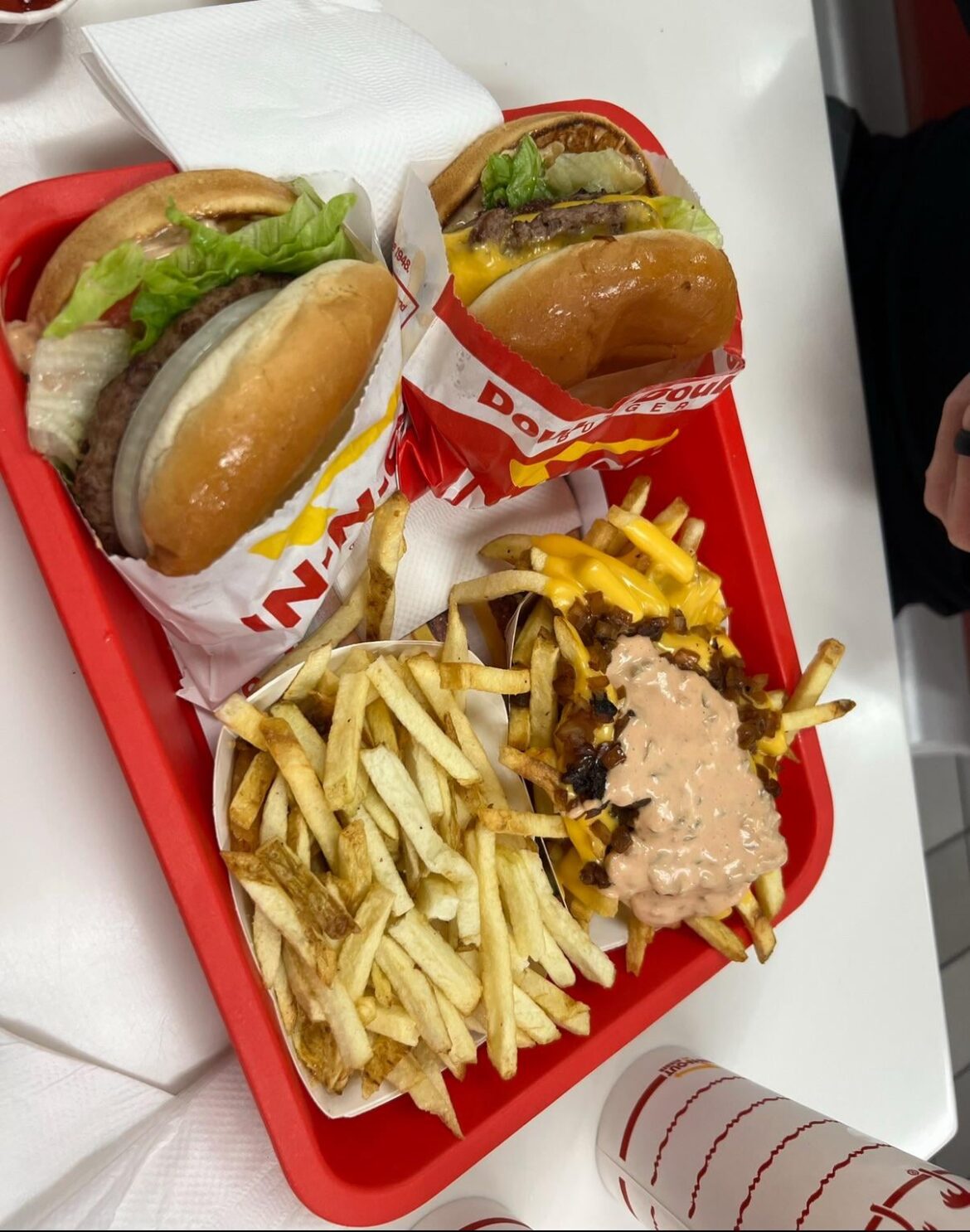In n Out Fries- yay or nay?