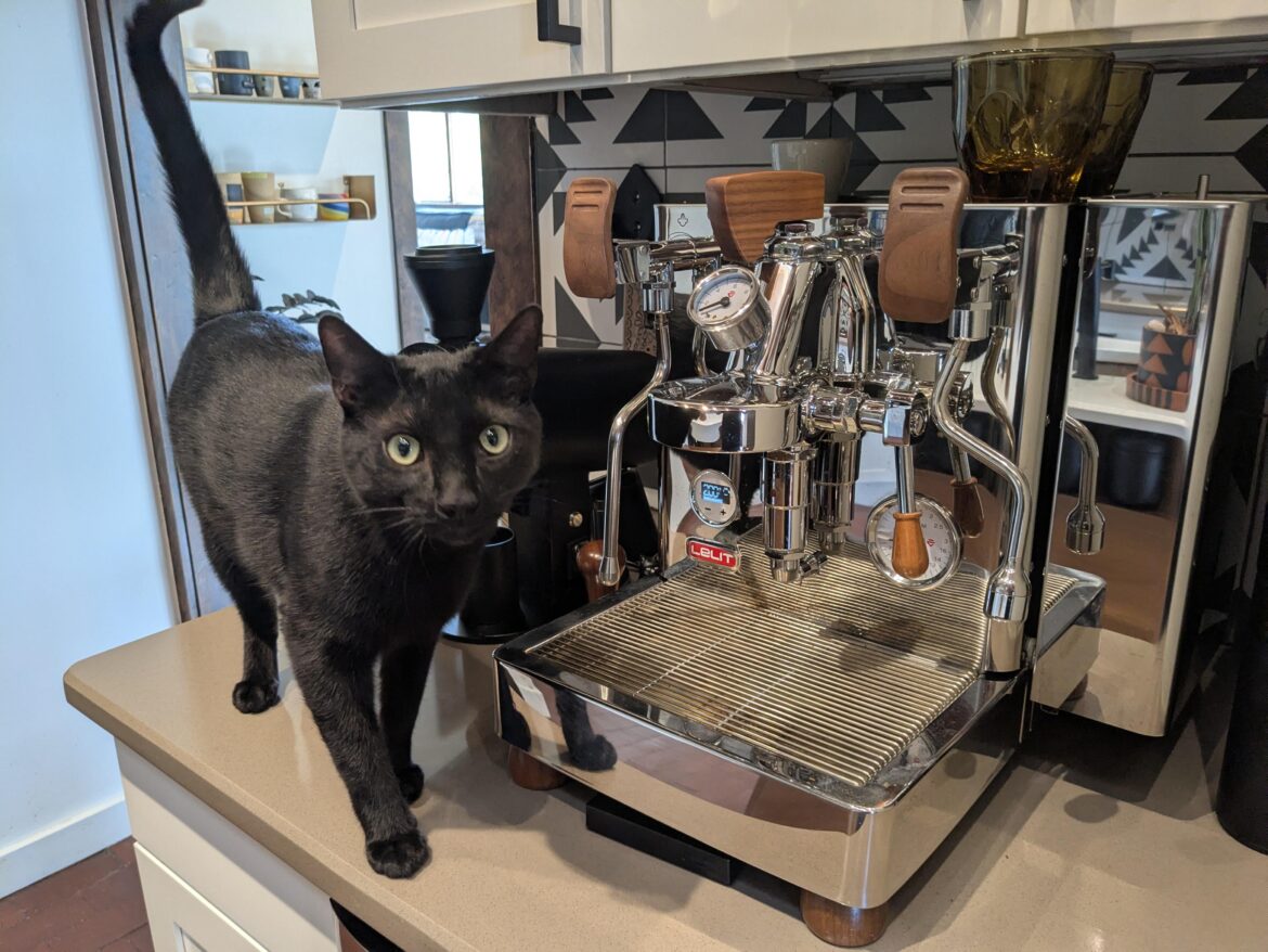 Think he can be trained?