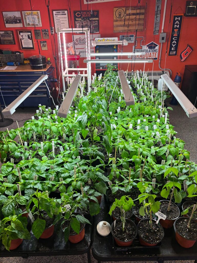 That's a lot of babies