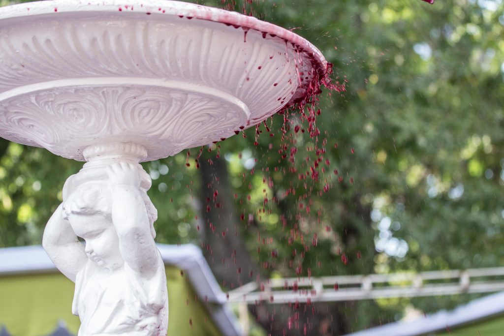 Grape Harvests of Chile