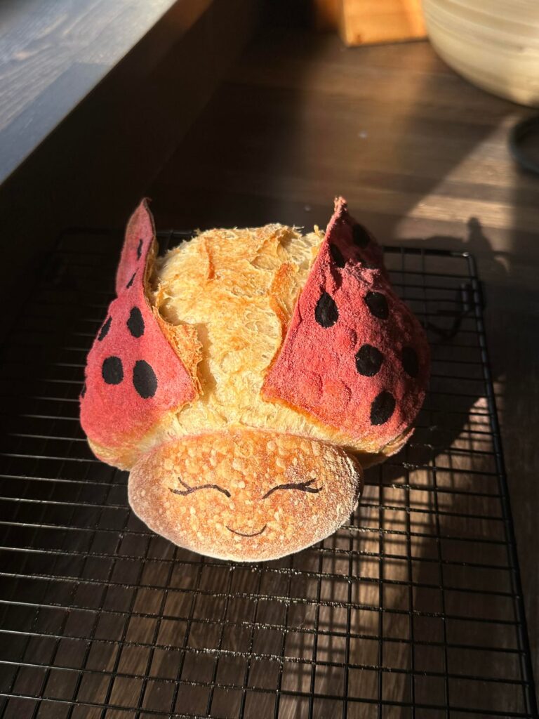 sourdough ladybug! 🐞