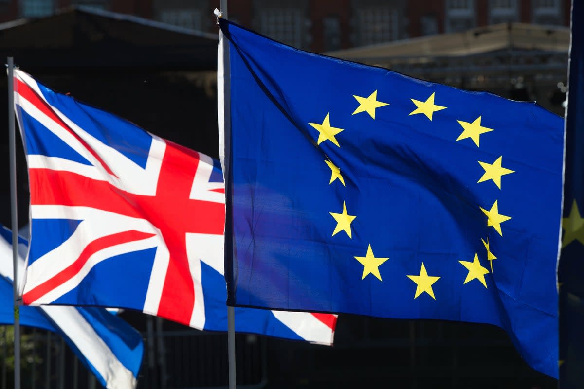 The government was under pressure to seal a free trade agreement with Brussels before the deadline of 11pm on 31 December 2020, when Britain was due to leave the EU’s single market and customs union (PA)