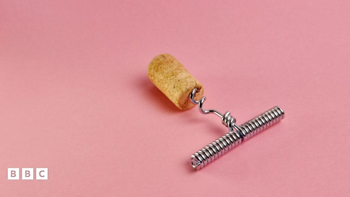 A cork screw with cork on it