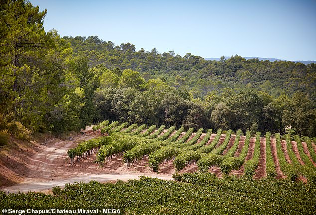 Pitt was blindsided when Jolie sold her share of Chateau Miraval, a 35-room estate and celebrated vineyard in the south of France that Pitt and Jolie bought in 2008. The 1,000-acre estate ¿ now valued at $164million ¿ is where the couple tied the knot in 2014