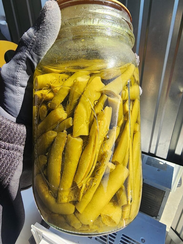 genuine question.. would these jars still be good for canning?