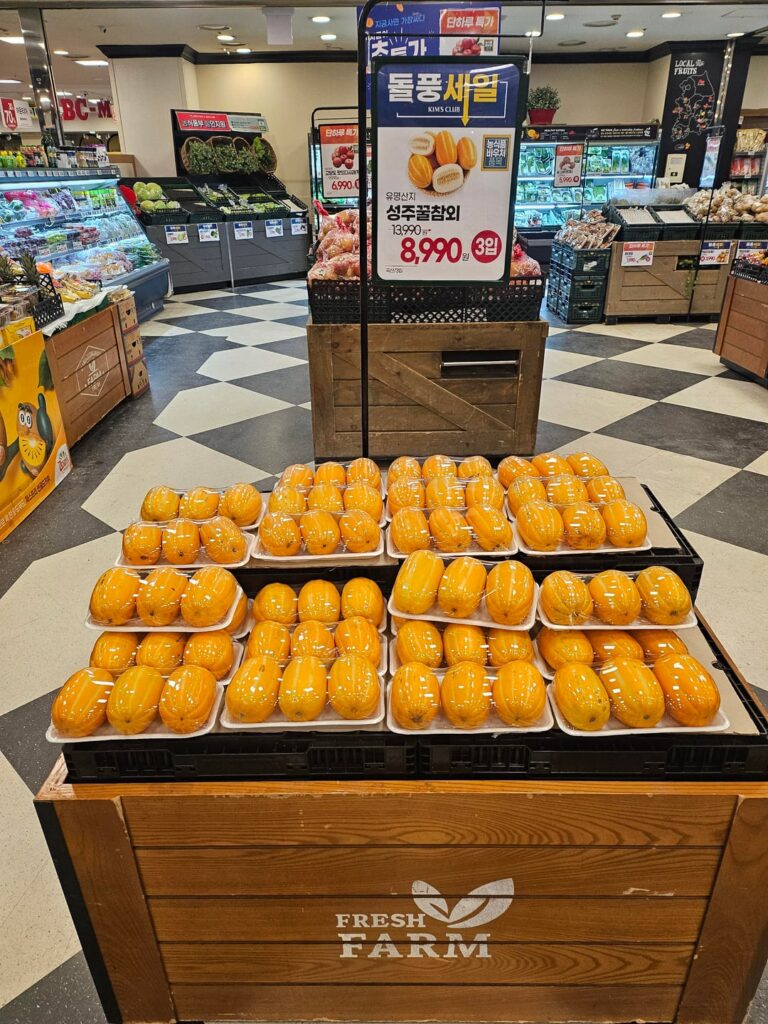 Chamoe (Korean melon) starting to appear on the main fruit displays in Korean supermarkets