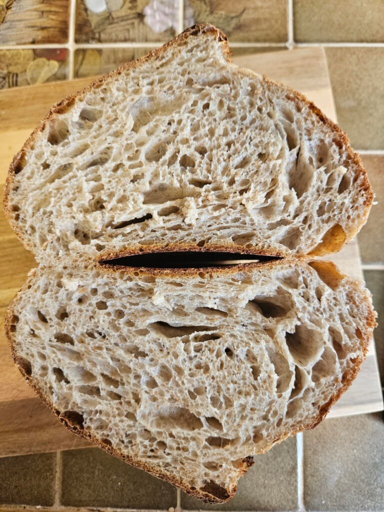 Loaf #6 how did I do?