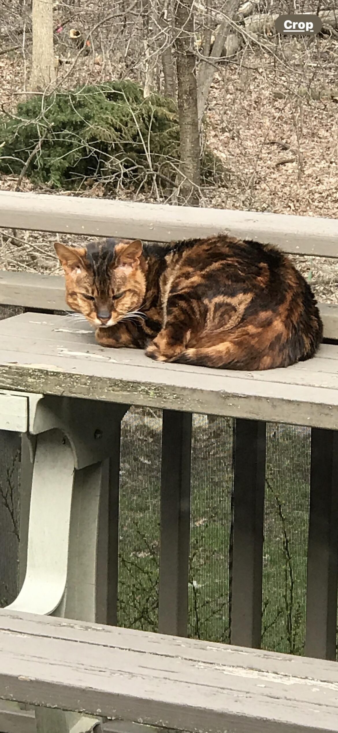 King Oscar Boneless Skinless Sardines In Water Availability King Oscar Boneless Skinless Sardines In Water Availability