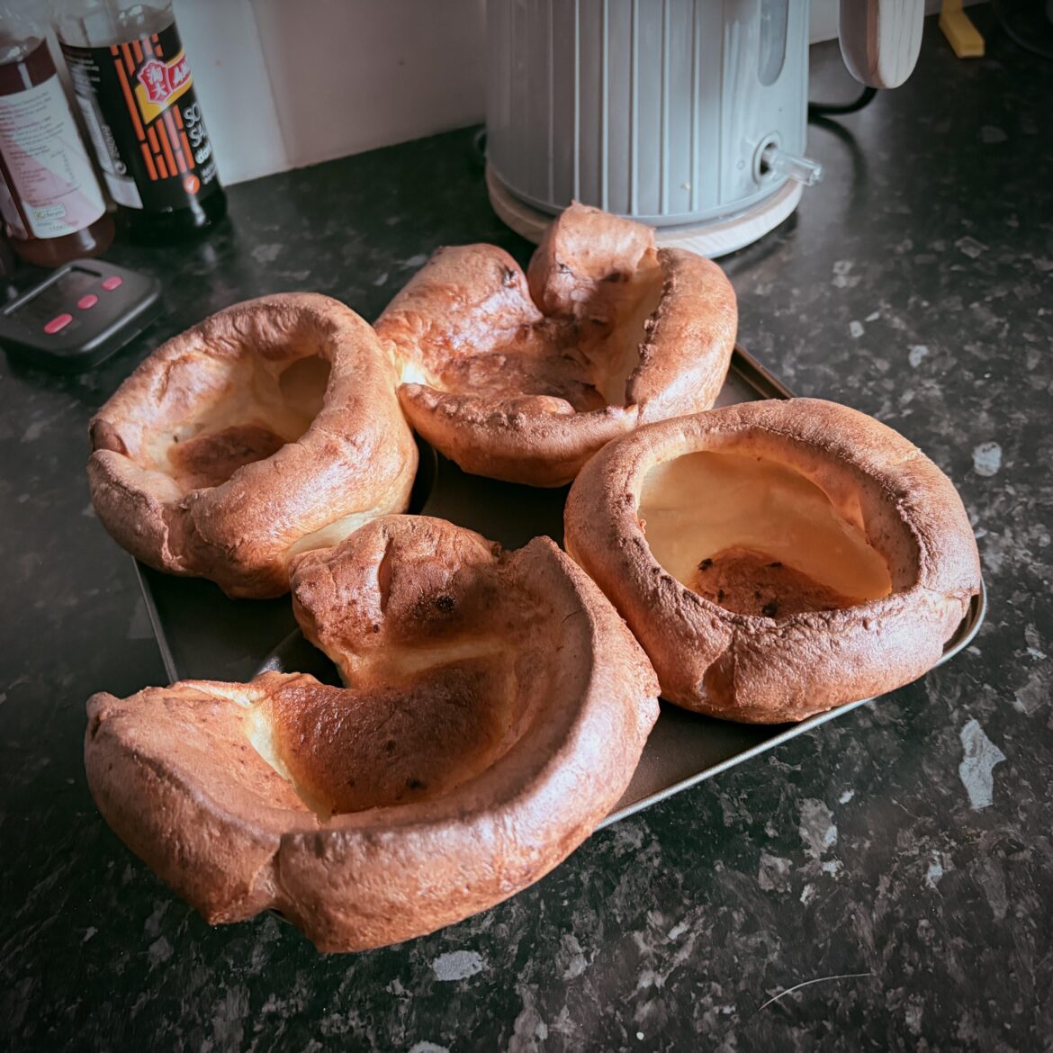 Cheeky Yorkies