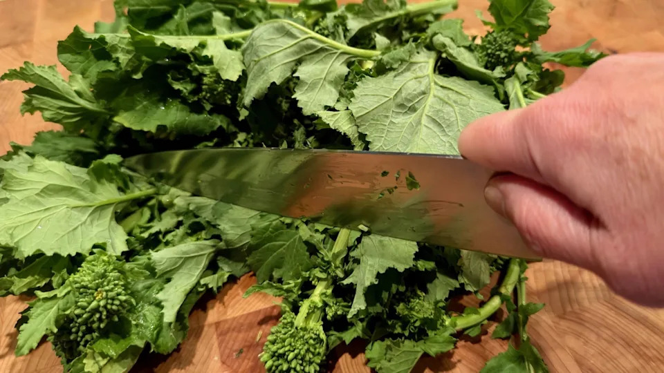 Courtesy Theresa Greco