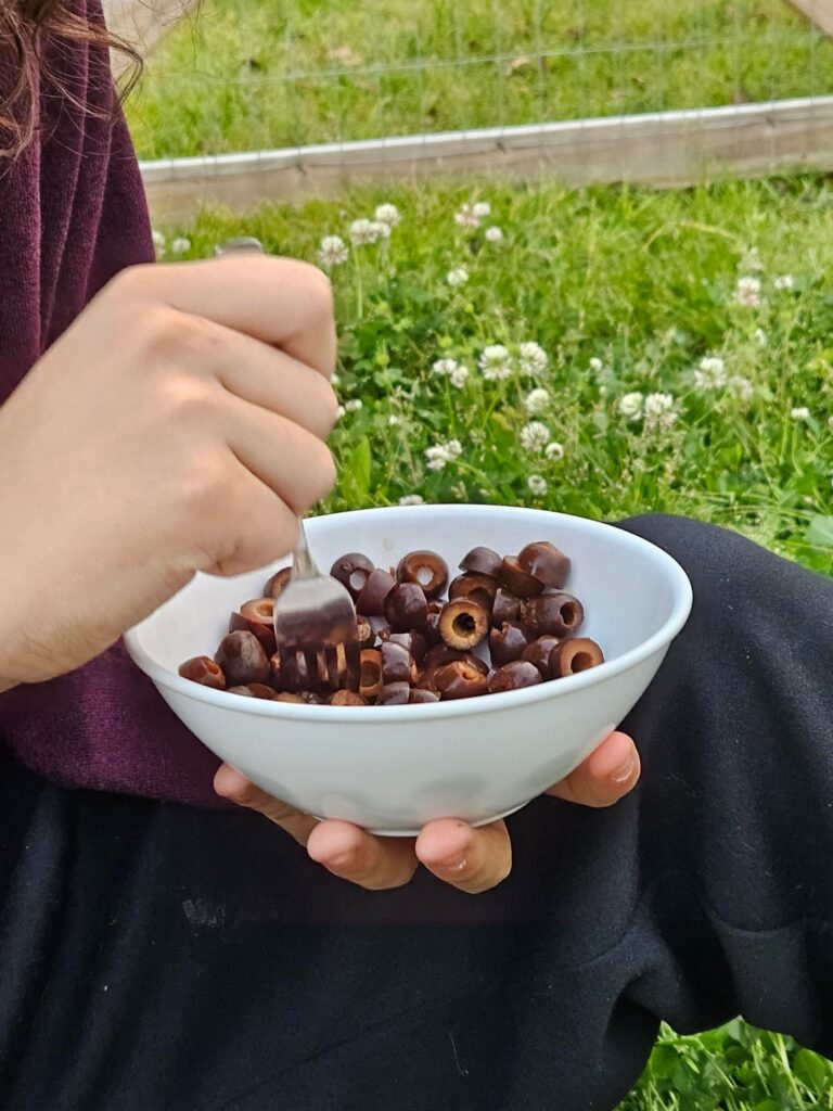 My nephews dinner of canned olives