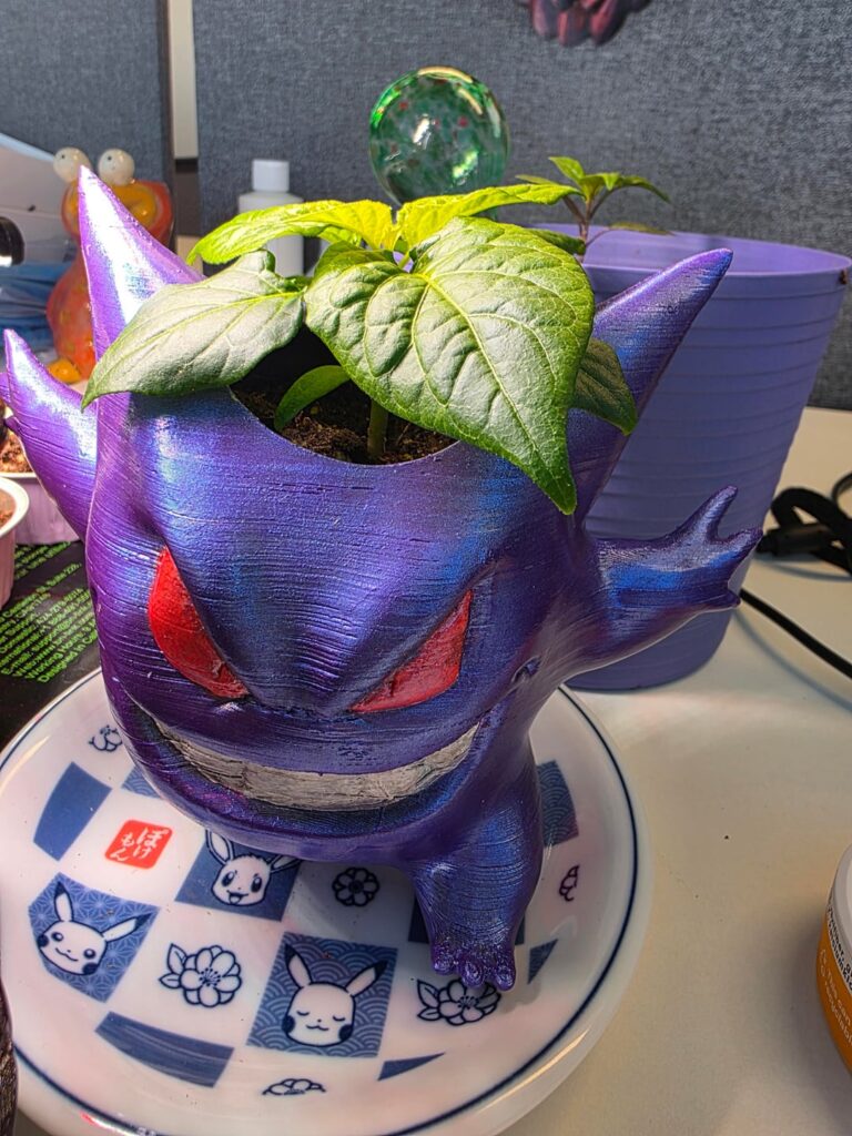 Update on my white ghost, purple ufo, and Bolivian rainbow purples