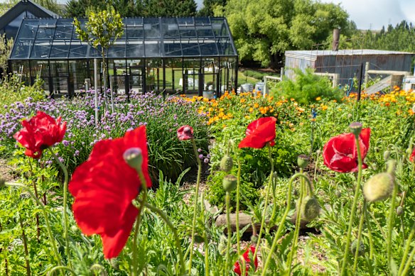 Trails start and end in Carrick Winery in Bannockburn, Central Otago.
