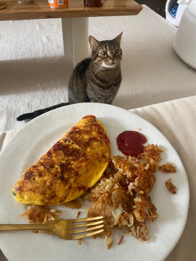 Just Egg omelette with hash browns pt 2