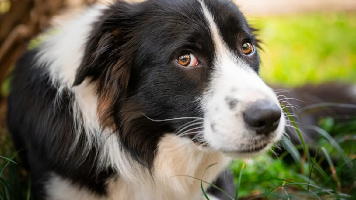 Yahoo lifestyle home