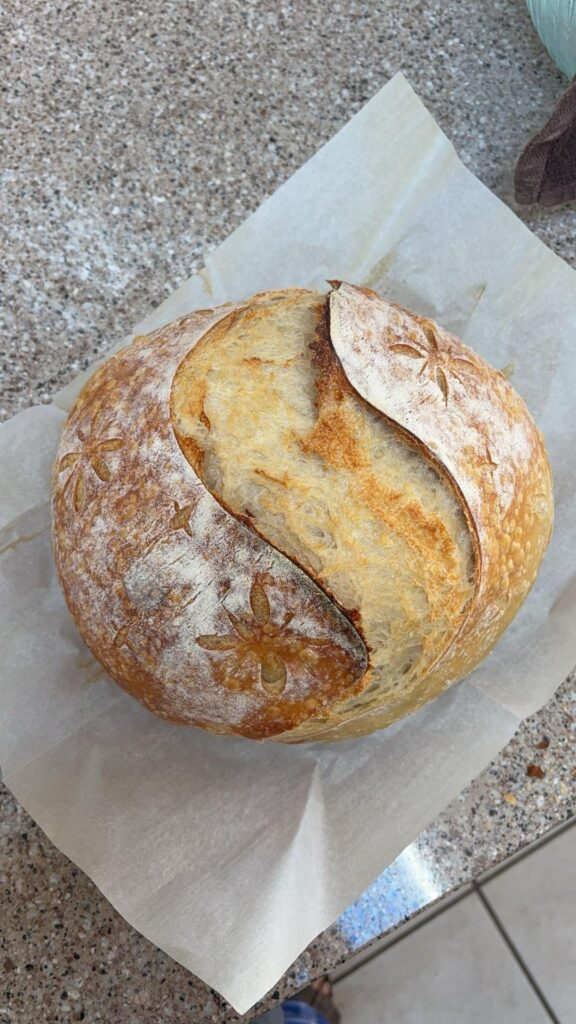 new to sourdough, how am i doing?!