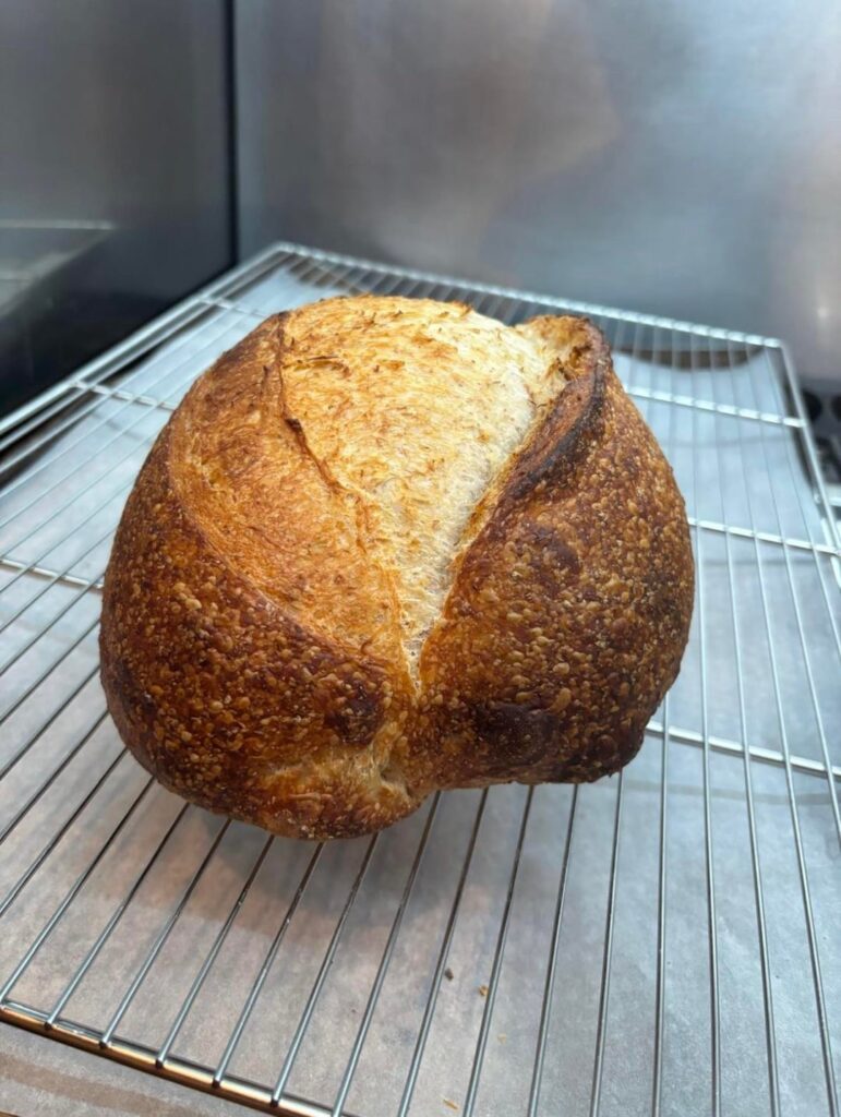 First bake after 1 year break