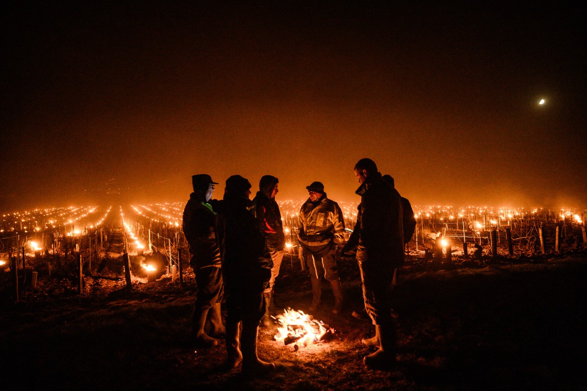 A group of men silhouetted against the might of the candles in a dark vineyard