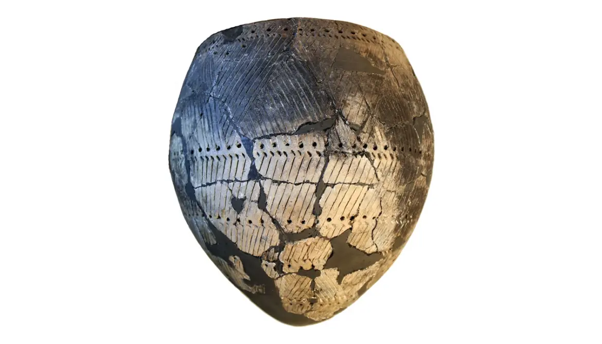 How ancient pottery preserves plant-eating proof