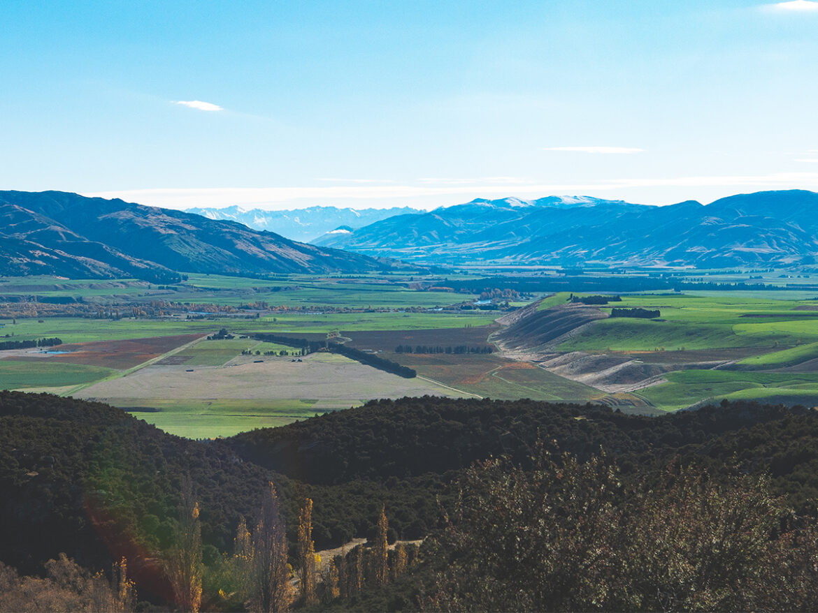 The Shout Magazine (New Zealand)