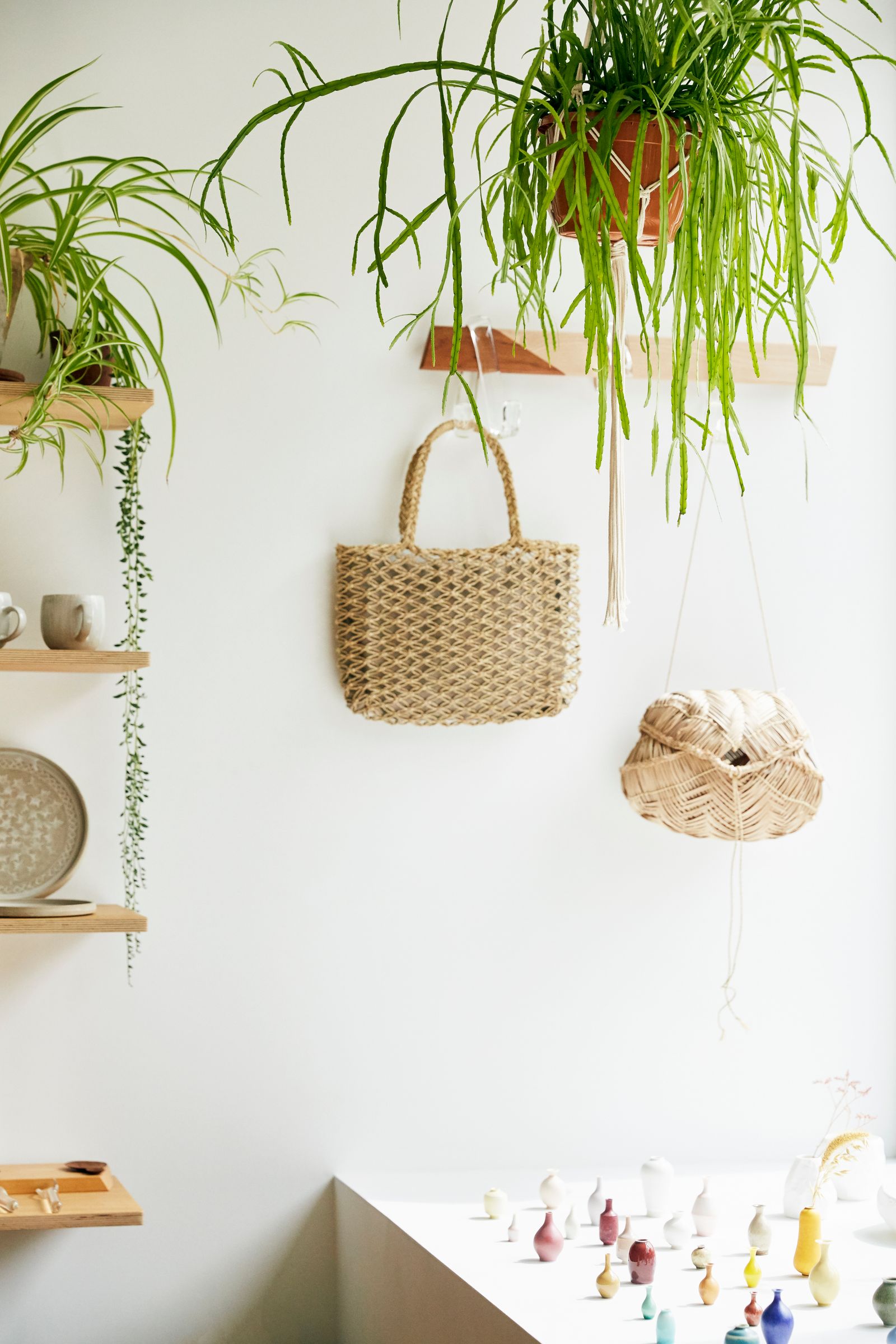 Image may contain Plant Chess Game Bag Vase Pottery Potted Plant and Jar