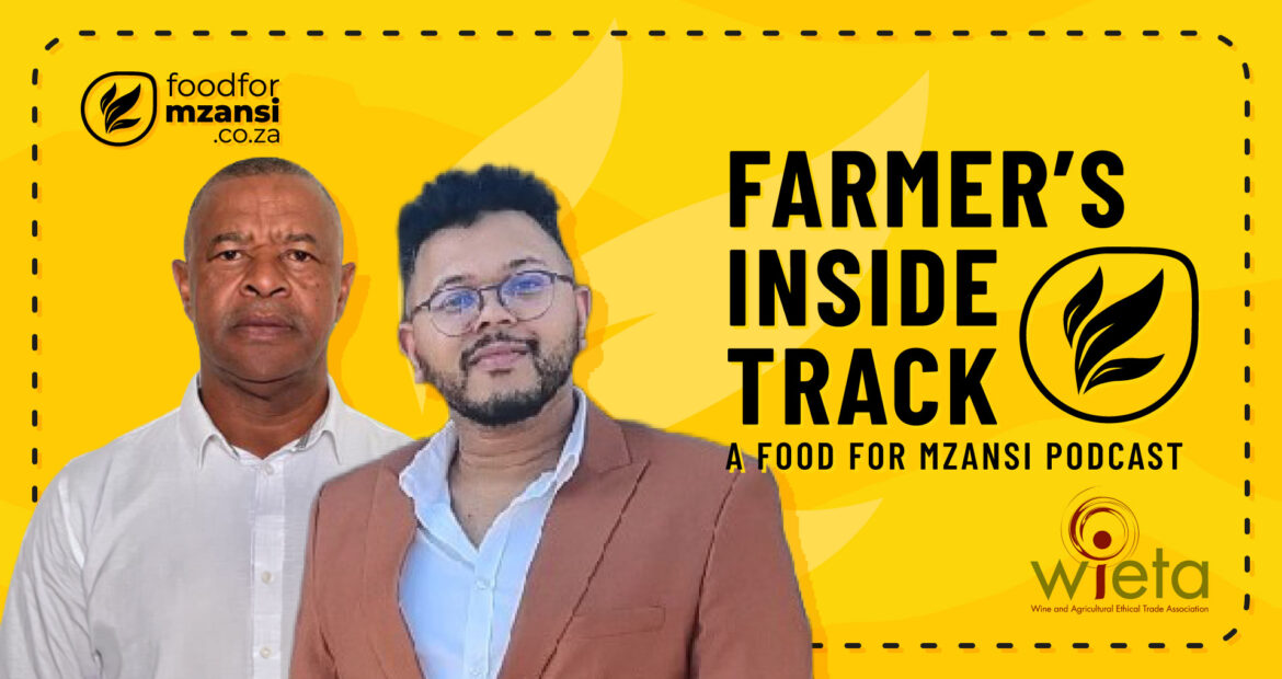 Wieta Labour Desk: Ethical wine begins with empowered workers 