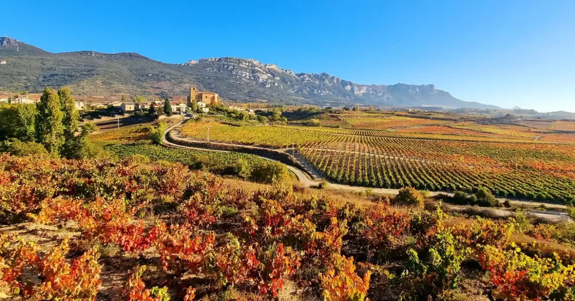 A definitive guide to Spain's wine regions