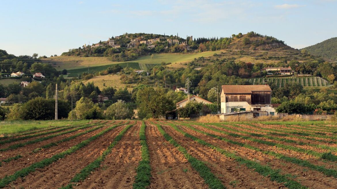 Products to Help You Master French Cooking Condé Nast Traveler