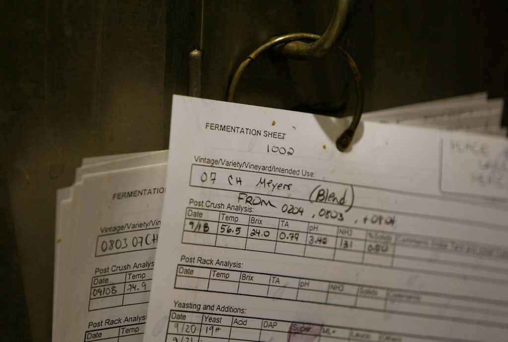 fermentation notes for wine vintage report